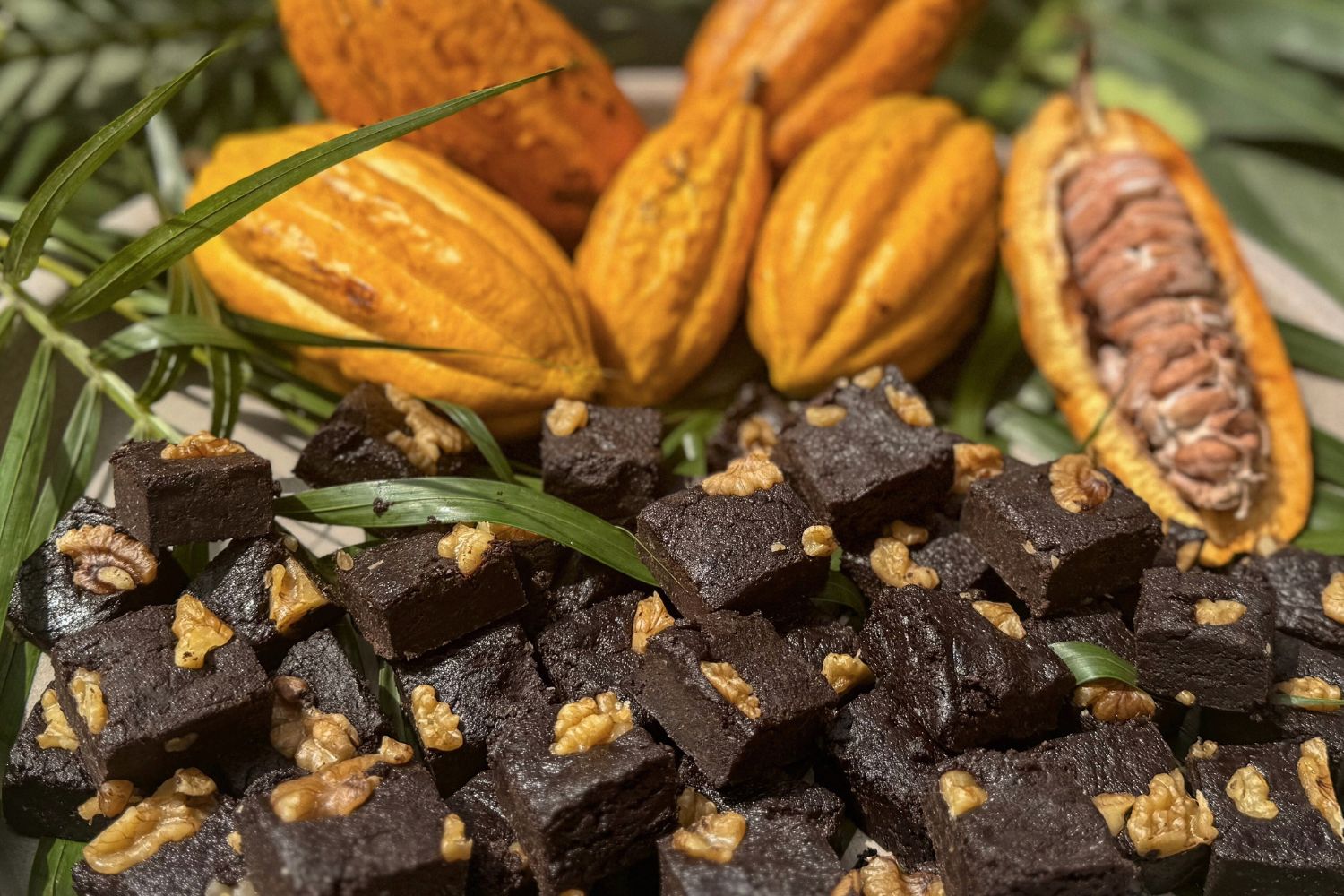 adamah-alimentacaoo-saudavel-regenerativa (6)