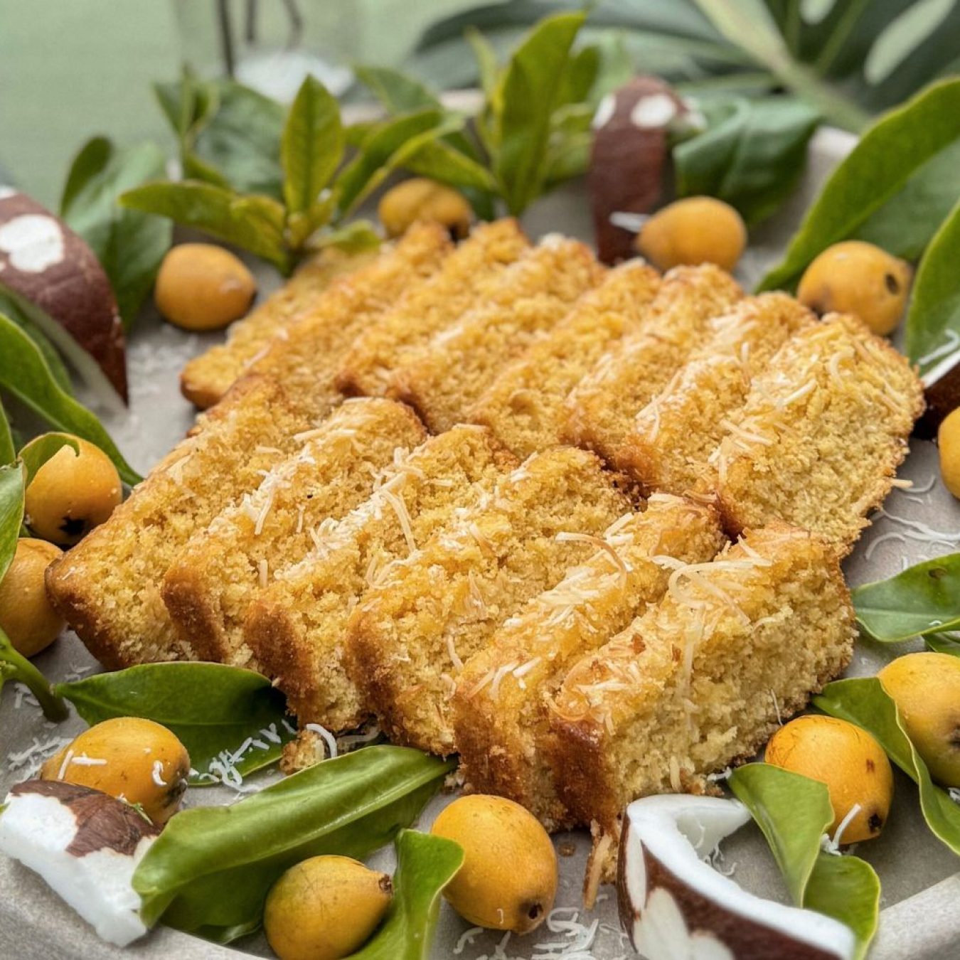 adamah-alimentacaoo-saudavel-regenerativa (8)