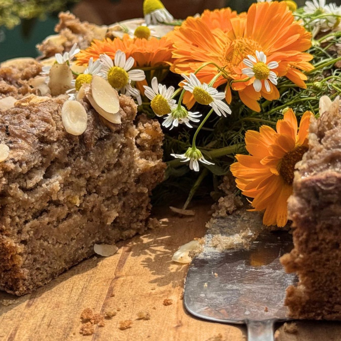 adamah-alimentacaoo-saudavel-regenerativa (9)