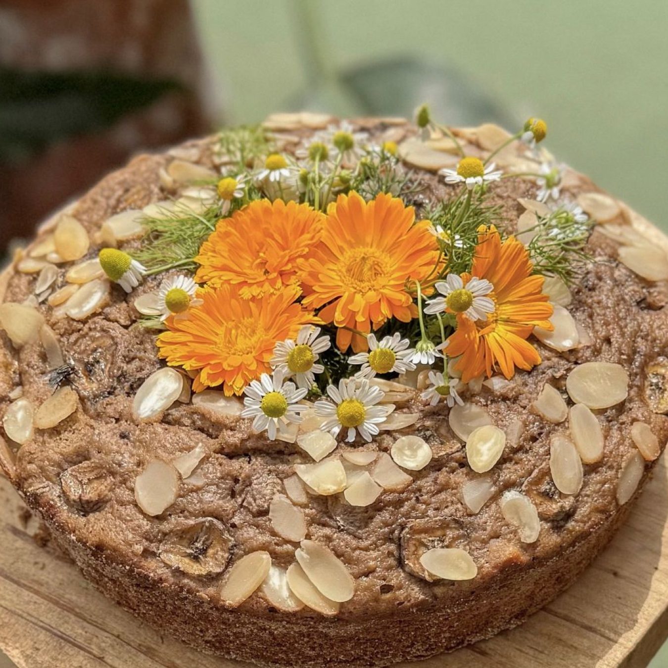 alimentação-saudavel-e-regenerativa (5)