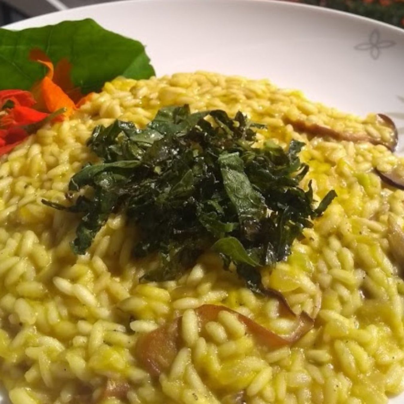 alimentação-saudavel-e-regenerativa (6)